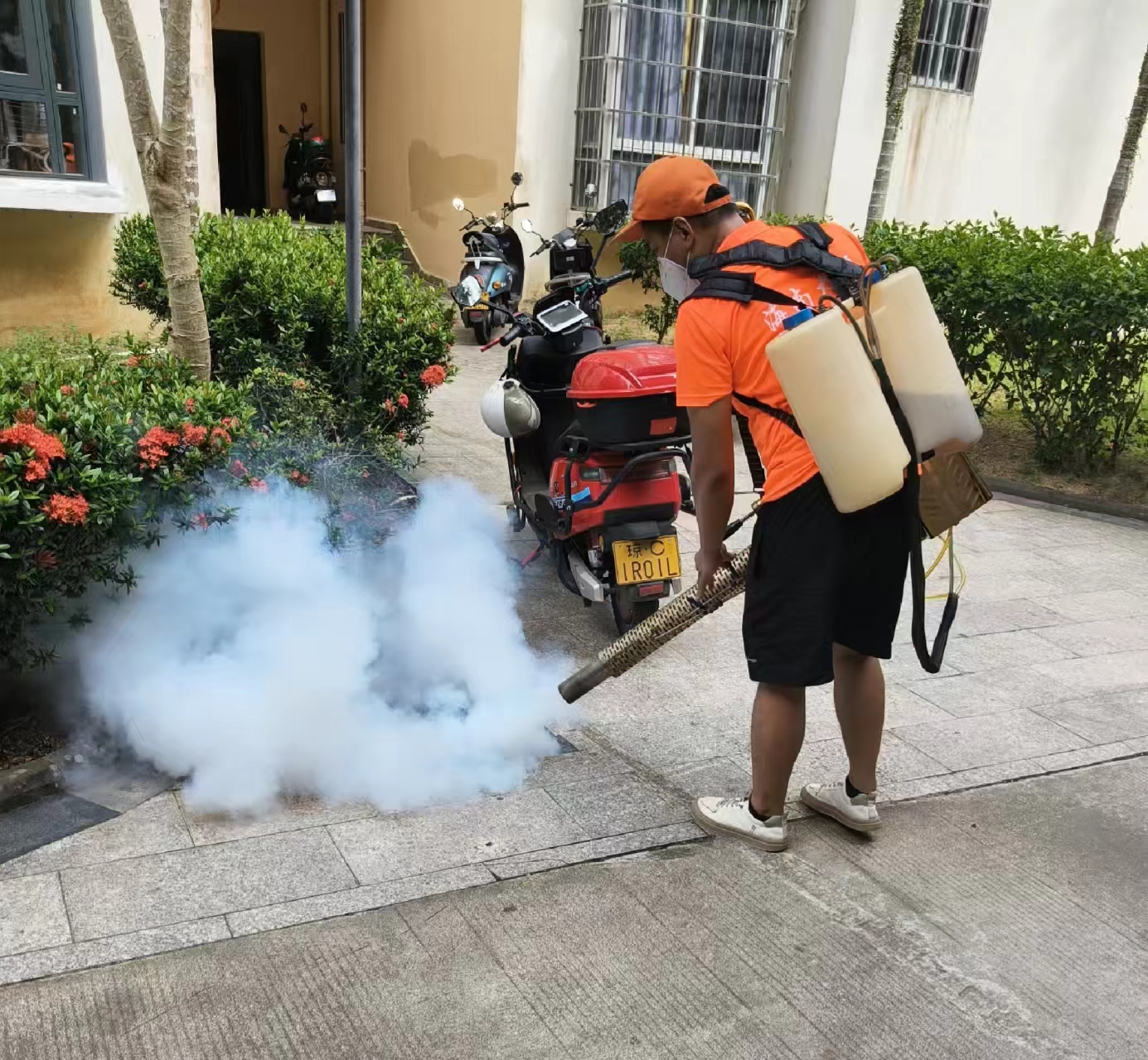 海南金银岛物业全力开展基孔肯雅热疫情防控事情