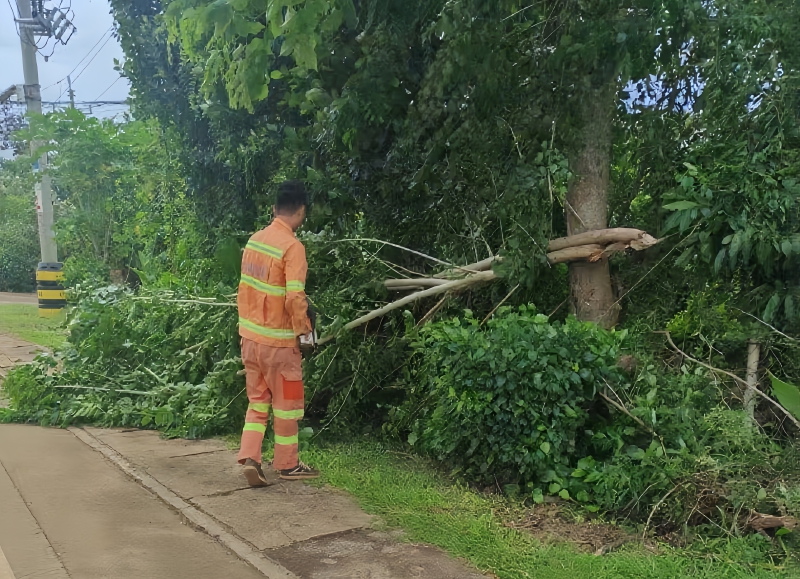 bevictor伟德官网-韦德官方网站